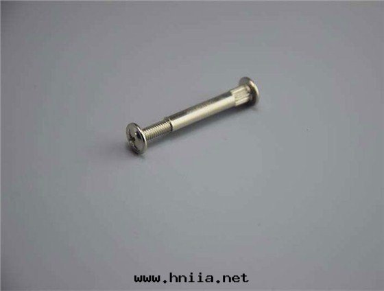 非(fēi)标(biāo)鉚钉2